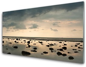 Quadro vetro Paesaggio acquatico 100x50 cm