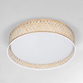 Brilagi - Plafoniera LED dimmerabile CAMILA 48W 230V 3000-6500K + DO