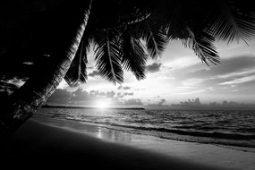 Carta da parati – Spiaggia caraibica in bianco e nero
