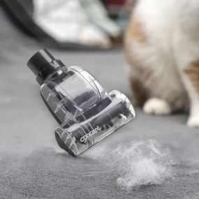 Concept VP5240N - Aspirapolvere senza sacco 4A RADICAL PET EXPERT 2,5 l 800W/230V bronzo