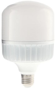 Lampadina Led E27 T100 30W Bianco freddo 6000K M LEDME