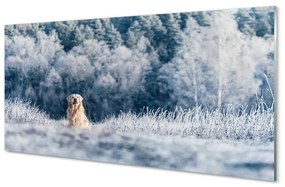 Quadro acrilico Dog Mountain Winter 100x50 cm