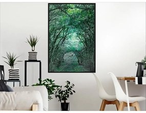 Poster Tree Tunnel