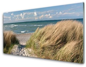 Quadro su vetro acrilico Paesaggio dell'erba del mare della spiaggia 100x50 cm