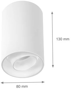 Faretto CHLOE 1xGU10/50W/230V bianco