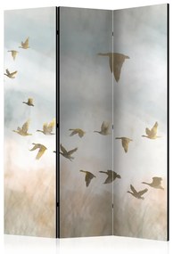 Paravento Oche dorate (3 pezzi) - Uccelli in cielo e paesaggio