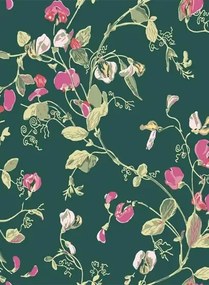 Cole & Son Carta da parati Sweet Pea - Pink/ Green
