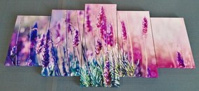Quadri 5 pezzi – Fiori magici di lavanda