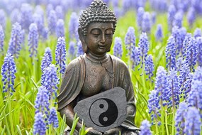 Stampa su tela – Buddha del Jin e Jang
