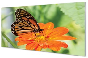 Quadro acrilico Fiore di farfalla colorato 100x50 cm