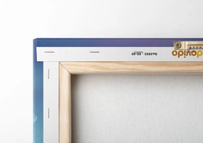 Quadro su tela – Polpo con cuffie