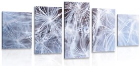 Quadri 5 pezzi – Macro dente di leone