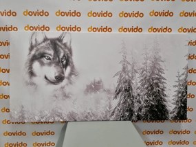 Quadro su tela – Lupo nel paesaggio innevato in bianco e nero