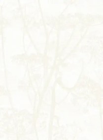 Cow Parsley - Designtapete von Cole & Son - White on White