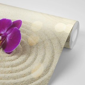Carta da parati autoadesiva – Giardino Zen di sabbia