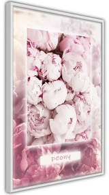 Poster Scent of Peonies