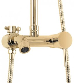 REA-P7006 - Set doccia con miscelatore LUIS oro