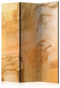 Paravento  Greek God [Room Dividers]  Colore ---, Dimensioni e Misure 135x172