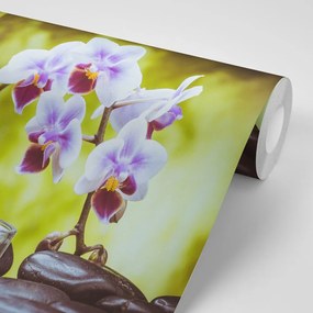 Carta da parati – Natura morta spa