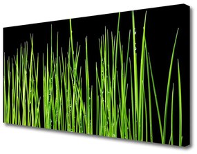 Quadro su tela L'erba La pianta 100x50 cm