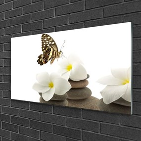 Quadro in vetro Pianta di pietra per fiori di farfalla 100x50 cm