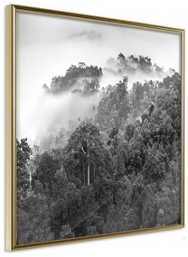 Poster  Foggy Forest  Cornice Quadri Cornice d'oro, Larghezza x Altezza Home decor 20x20