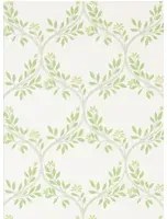 Nina Campbell Tapete Arber - Green