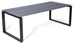 Tavolo da giardino grigio , 210 x 100 cm Strong - Bonami Selection
