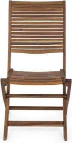 Set 2 Sedie da Giardino 50,5x64x93h cm Noemi Pieghevole...