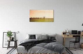 Quadro in vetro acrilico Herd Deer Field Sunrise 100x50 cm