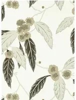 Harlequin Carta da parati Coppice - Oyster/ Ebony/ Gilver