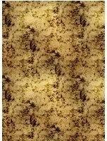 Coordonne Carta da parati panoramica Star Colission Metallics - Gold