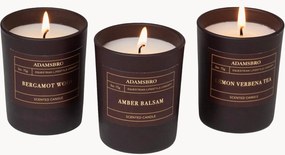 Set di 3 candele profumate Adamsbro (legno di bergamotto, ambra, verbena)