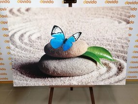 Stampa su tela – Farfalla blu nel giardino Zen