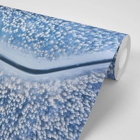 Carta da parati – Vista su paesaggio invernale