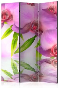Paravento Spa orchidea (3 parti) - fiori rosa riflessi nell'acqua