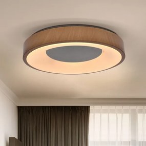 Brilagi - Lampada LED da soffitto dimmerabile DORIA LED/48W/230V 3000-6500K + DO