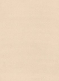 Arte Carta da parati Noble - 31752