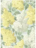 Flieder Tapete Lilac von Cole and Son - Yellow & Blue