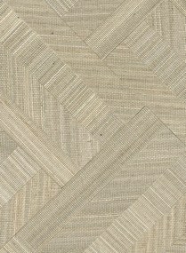 CMO Paris Tapete Abaca Zebre - Argent