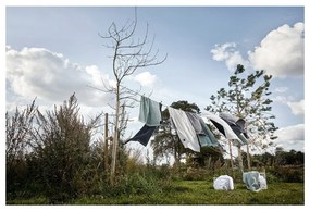 Asciugamano in cotone verde-grigio 70x50 cm Classic - Zone