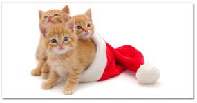 Quadro acrilico Gatti Babbo Natale 120x60 cm