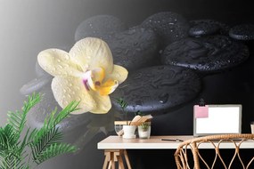 Carta da parati – Pietre Zen con orchidea gialla