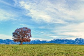 Carta da parati autoadesiva – Panorama montano