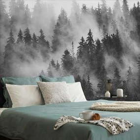Carta da parati autoadesiva – Foresta nella nebbia in bianco e nero