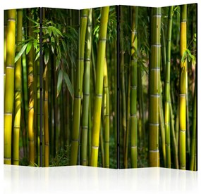 Paravento Giardino orientale II (5 parti) - disegno con steli di bambù verdi