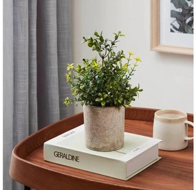 Eglo 428025 - Pianta artificiale CHITOSE in vaso 25x15 cm