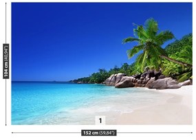 Carta da parati Seychelles Beach 104x70 cm