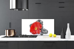 Pannello cucina paraschizzi Fiori di gerbera rossa 100x50 cm