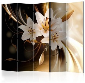 Paravento  Circle of Light II [Room Dividers]  Colore Marrone, Dimensioni e Misure 225x172